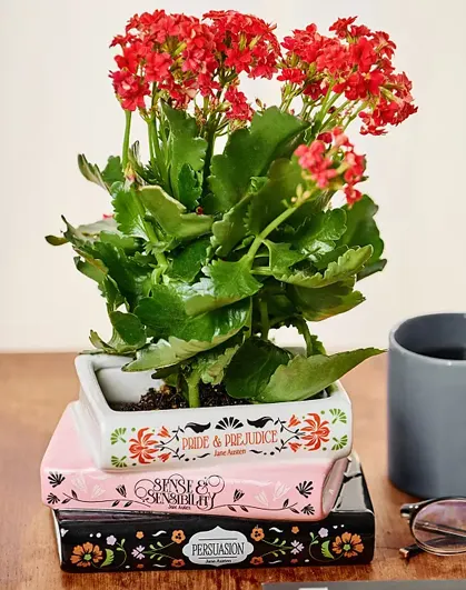 Geschenke für Frauen