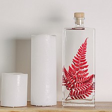 Konservierte Pflanze in 26 cm Flasche