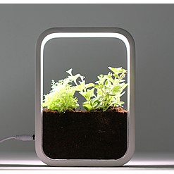 Indoor-Garten mit LED-Wachstumslicht