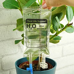 Mini-Pflanzenstütze: das originellste Selbstbewässerungssystem für Blumentöpfe
