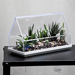 Mini-Gewächshaus für kleine Pflanzen