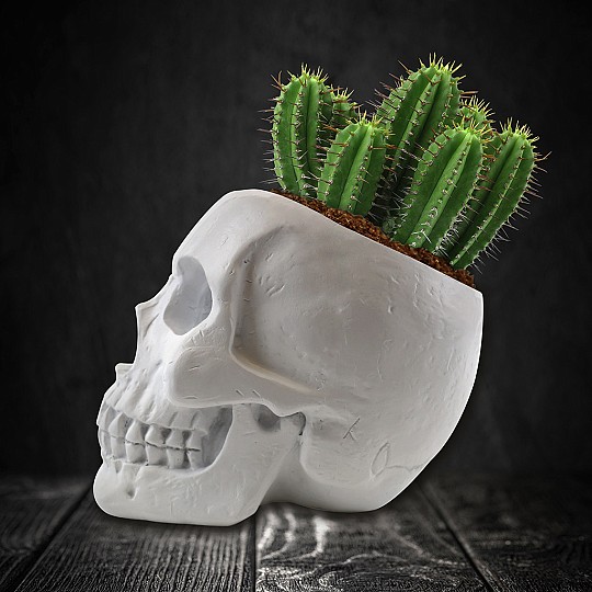 Ein sehr origineller und gruseliger Blumentopf in Form eines Totenkopfes