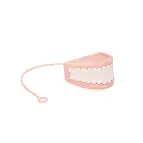 Spülmaschinen- und mikrowellenfest