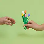 Originelles und schönes Design