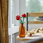 Bauen Sie zwei elegante ewige Rosen