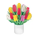 Tulpen