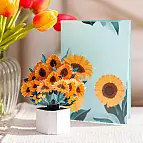 Originell und dekorativ