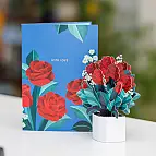 Der Strauß ist 13,6 cm hoch.