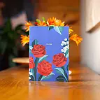 Entworfen in Italien von Origamo