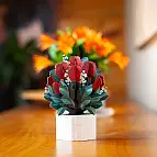 Perfekt für Valentinstag, Muttertag, Geburtstage...