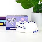 Es gibt drei Lichtstärken