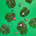 Enthält 8 Einheiten