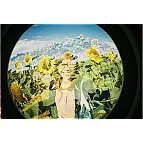 Verwendet Film im 35-mm-Format