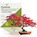 Saatgut aus 100% biologischem Anbau