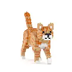 Orange getigerte Katze