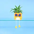 Cool Cat original Blumentopf