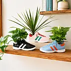 Walking Plant, Blumentopf in Form eines Schuhs