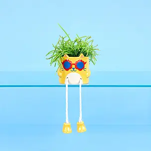 Cooler Katzen-Mini-Pflanzer