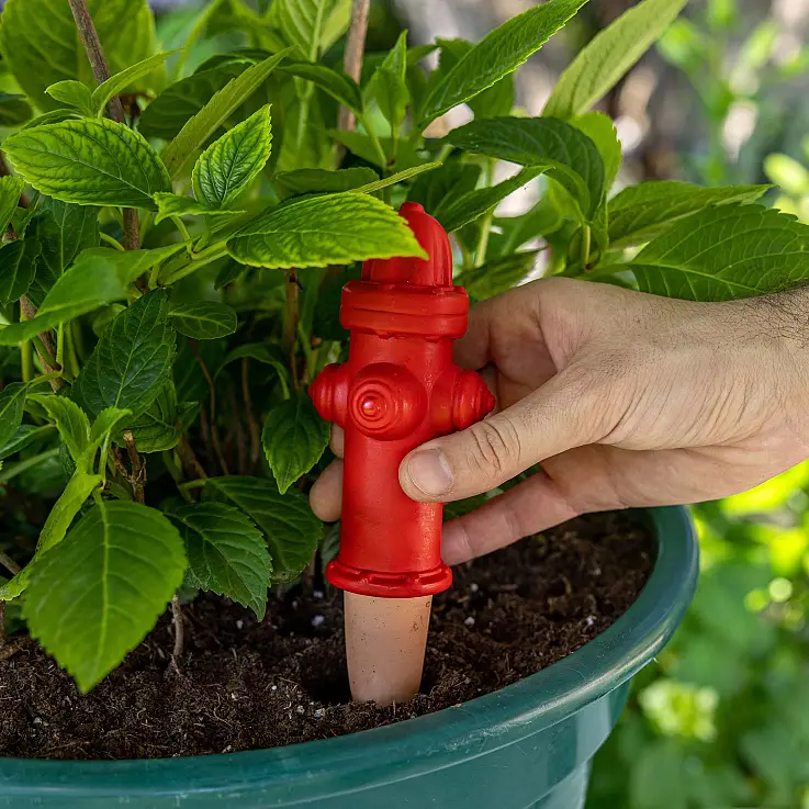 Originelles und lustiges Design