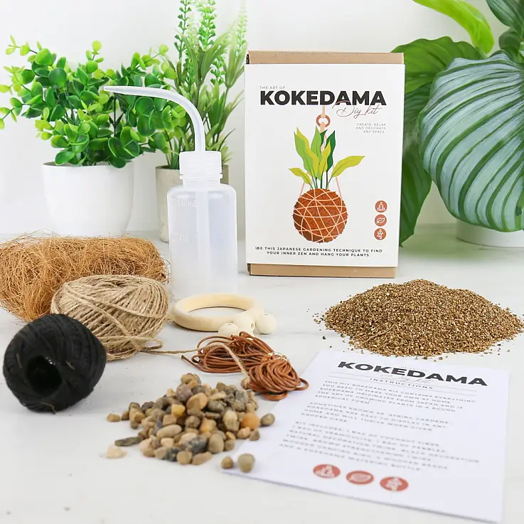 Mach dein eigenes Kokedama