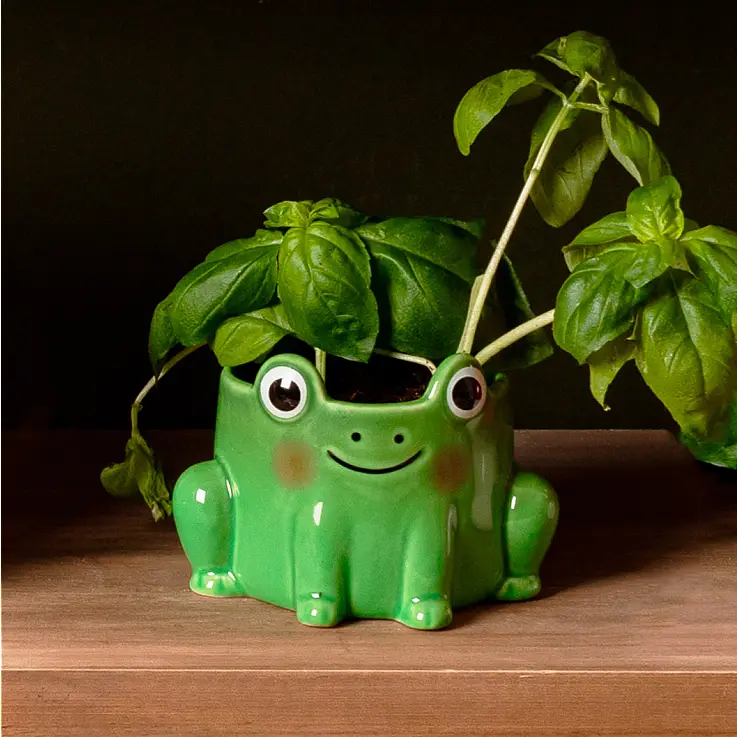 Mini-Topf in Form eines Frosches