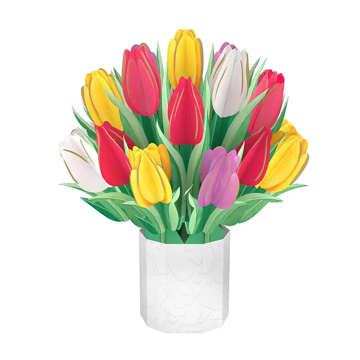 Tulpen