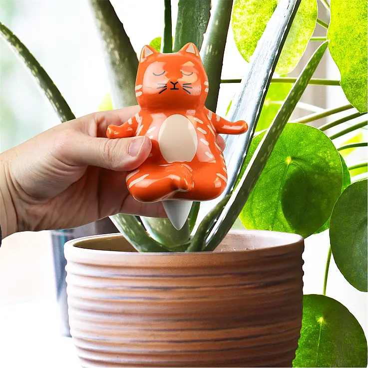Selbstbewässerung in Form einer Yogi Katze