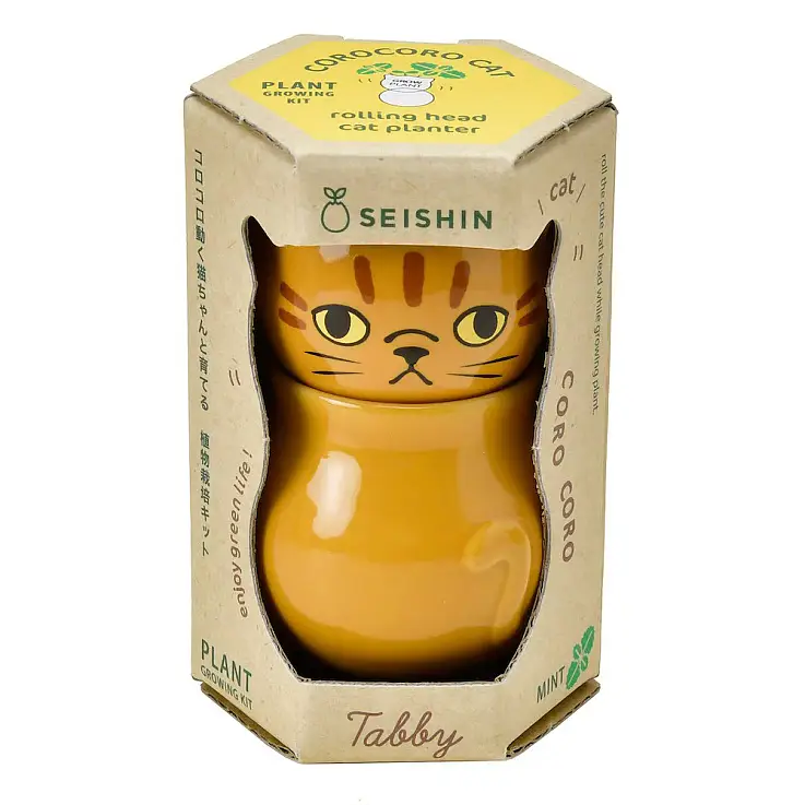 Tabby-Kätzchen mit Minzsamen