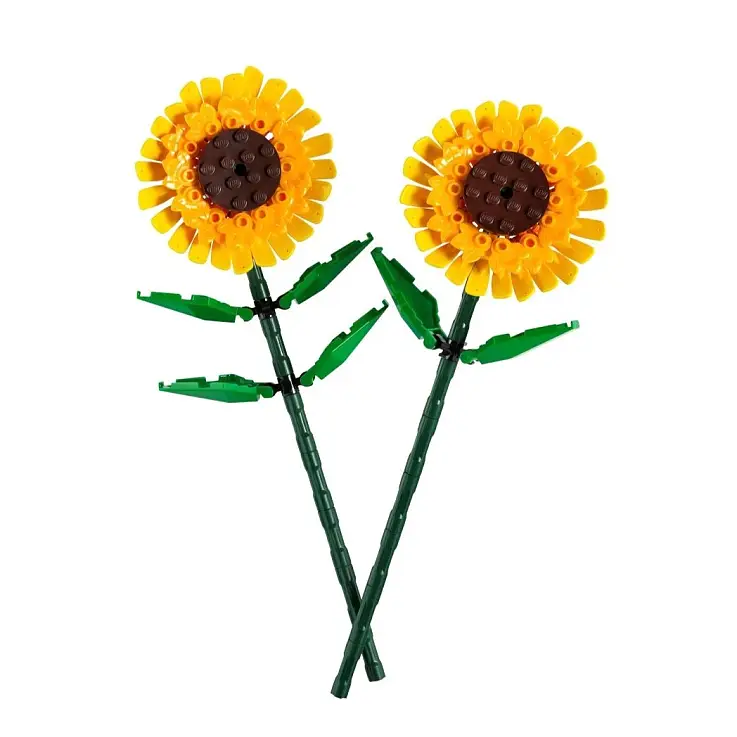 Baue zwei ewige Sonnenblumen