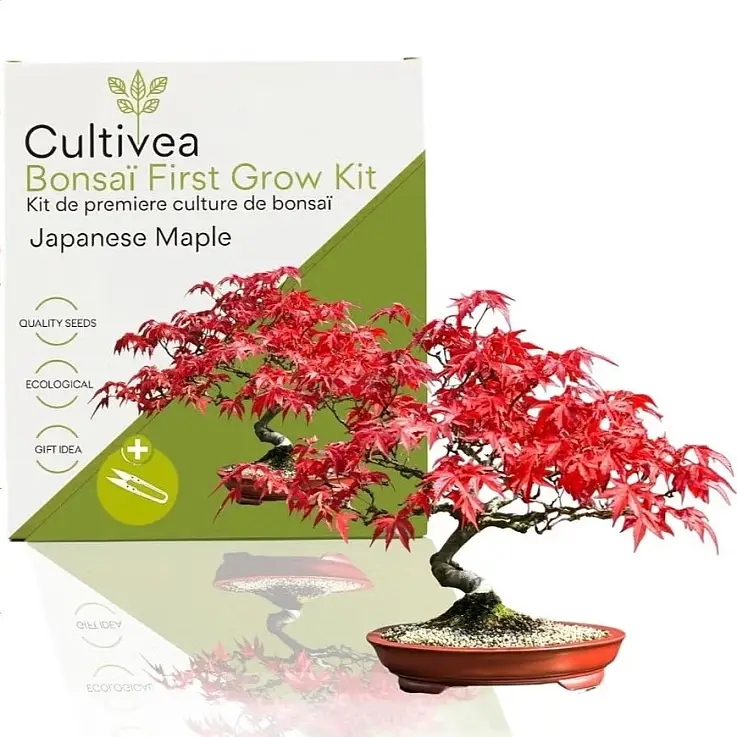 Saatgut aus 100% biologischem Anbau