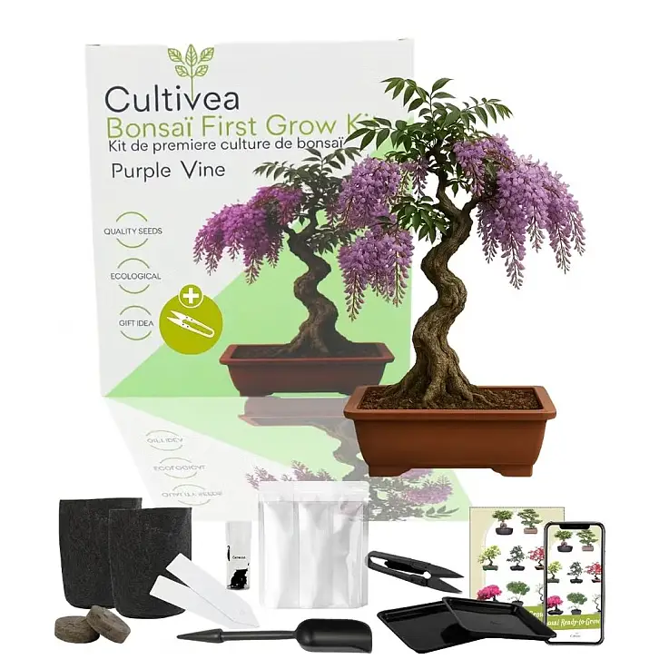 Sie können sie das ganze Jahr über säen