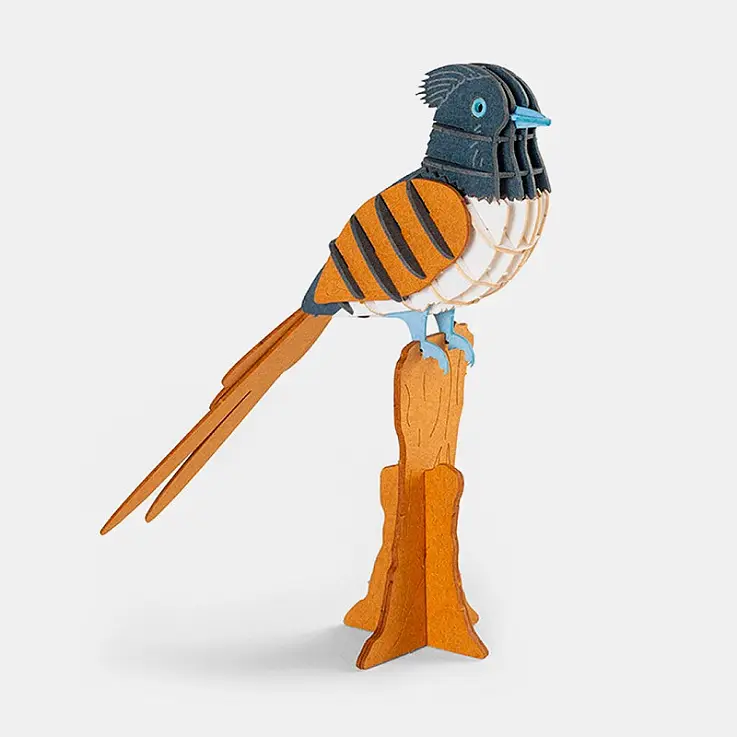 Monarch des Paradieses